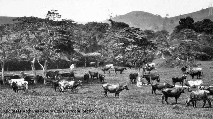 Gympie and District Farming in 1905 – Imbil Rd